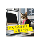 スーツを着た猫〜敬語編〜（個別スタンプ：27）