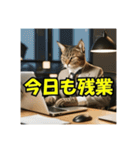 スーツを着た猫〜敬語編〜（個別スタンプ：31）