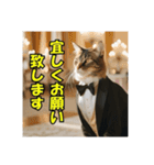 スーツを着た猫〜敬語編〜（個別スタンプ：40）