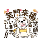 シーズー犬 『年末年始』～2025（個別スタンプ：30）