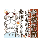 シーズー犬 『年末年始』～2025（個別スタンプ：34）