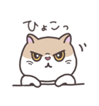 ぶさかわいいねこ（個別スタンプ：7）