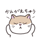 ぶさかわいいねこ（個別スタンプ：15）