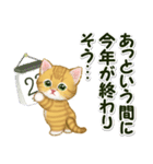 キラキラおめめの子猫 年末年始＆招福の言葉（個別スタンプ：5）