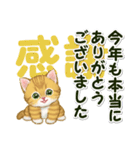 キラキラおめめの子猫 年末年始＆招福の言葉（個別スタンプ：10）