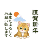 キラキラおめめの子猫 年末年始＆招福の言葉（個別スタンプ：18）