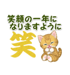 キラキラおめめの子猫 年末年始＆招福の言葉（個別スタンプ：24）