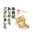 キラキラおめめの子猫 年末年始＆招福の言葉（個別スタンプ：35）