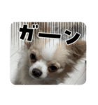 おくふーきな（個別スタンプ：1）