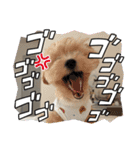 おくふーきな（個別スタンプ：2）