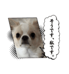 おくふーきな（個別スタンプ：6）