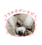 おくふーきな（個別スタンプ：8）