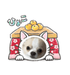 おくふーきな（個別スタンプ：9）