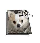 おくふーきな（個別スタンプ：11）