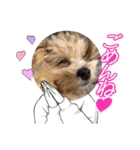 おくふーきな（個別スタンプ：12）
