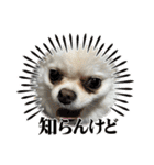 おくふーきな（個別スタンプ：13）
