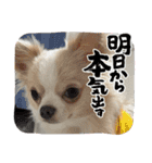 おくふーきな（個別スタンプ：14）