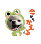 おくふーきな（個別スタンプ：15）