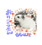 デグーのいる生活 その壱（個別スタンプ：2）