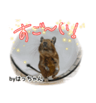 デグーのいる生活 その壱（個別スタンプ：8）