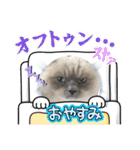 可愛いラグドール10（個別スタンプ：28）