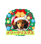 冬1（個別スタンプ：1）