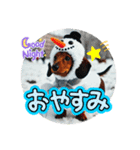 冬1（個別スタンプ：5）
