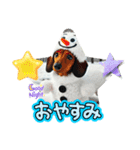 冬1（個別スタンプ：8）