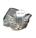 みるくせんせい（個別スタンプ：1）