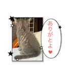 みるくせんせい（個別スタンプ：2）