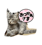 みるくせんせい（個別スタンプ：3）