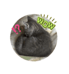 みるくせんせい（個別スタンプ：6）