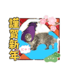みるくせんせい（個別スタンプ：9）