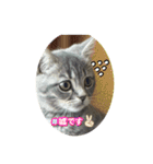 みるくせんせい（個別スタンプ：13）