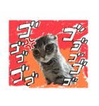 みるくせんせい（個別スタンプ：14）