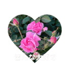 Flower stamp everyday2（個別スタンプ：29）