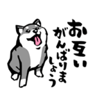 ふでしば30【リアルめ】柴犬、筆文字（個別スタンプ：5）