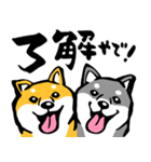 ふでしば30【リアルめ】柴犬、筆文字（個別スタンプ：12）