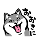 ふでしば30【リアルめ】柴犬、筆文字（個別スタンプ：19）