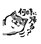 ふでしば30【リアルめ】柴犬、筆文字（個別スタンプ：32）