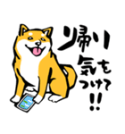 ふでしば30【リアルめ】柴犬、筆文字（個別スタンプ：37）