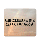 超レア冬限定和みネコ❣️世界中で愛されろ（個別スタンプ：32）