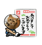 あけおめスタンプ2025 動物シリーズ（個別スタンプ：6）