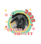 あけおめスタンプ2025 動物シリーズ（個別スタンプ：10）