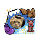 あけおめスタンプ2025 動物シリーズ（個別スタンプ：14）