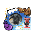 あけおめスタンプ2025 動物シリーズ（個別スタンプ：16）