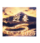 大人のおしゃれ年賀状2025（個別スタンプ：13）