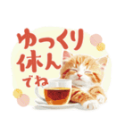 【日常挨拶】ねこさんといっしょ♪冬（個別スタンプ：12）