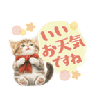 【日常挨拶】ねこさんといっしょ♪冬（個別スタンプ：15）