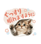 【日常挨拶】ねこさんといっしょ♪冬（個別スタンプ：19）